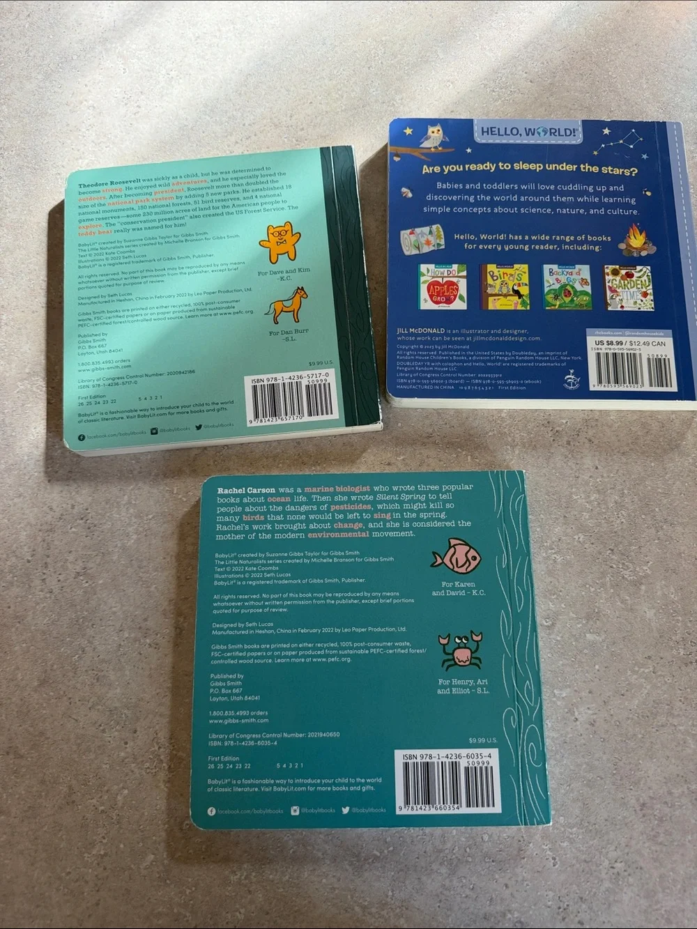 Rachel Carson Cared About Our World Board Book - Teal/Green